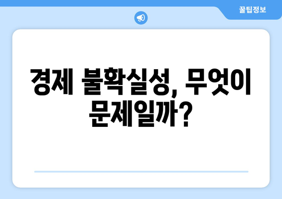 경제적 불확실성의 원인과 그 해결책