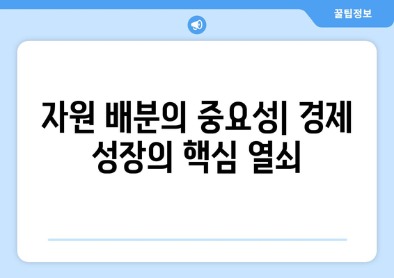 자원의 효율적 배분과 경제