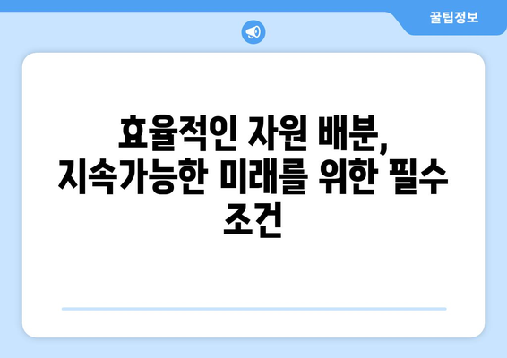 자원의 효율적 배분과 경제