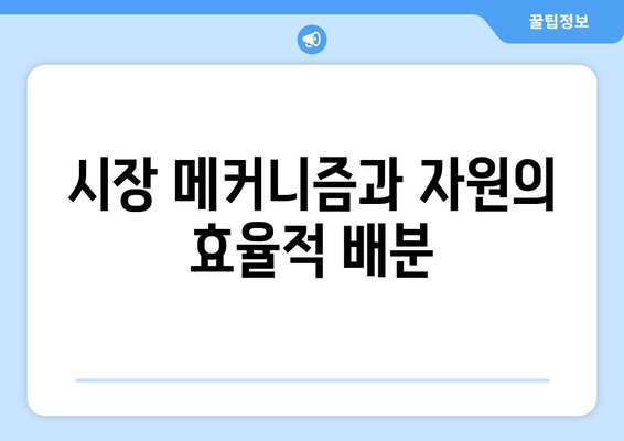 자원의 효율적 배분과 경제