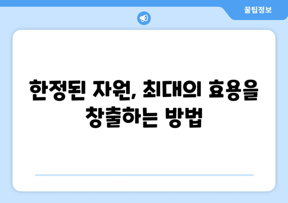 자원의 효율적 배분과 경제