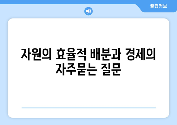 자원의 효율적 배분과 경제