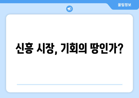 신흥 시장의 경제적 기회와 도전 과제