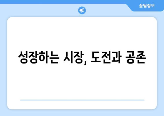 신흥 시장의 경제적 기회와 도전 과제