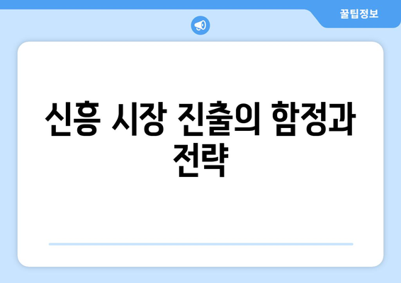 신흥 시장의 경제적 기회와 도전 과제