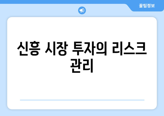 신흥 시장의 경제적 기회와 도전 과제