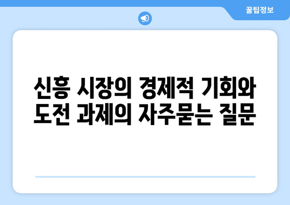 신흥 시장의 경제적 기회와 도전 과제