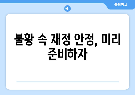 경제 위기를 대비하는 장기 재정 전략