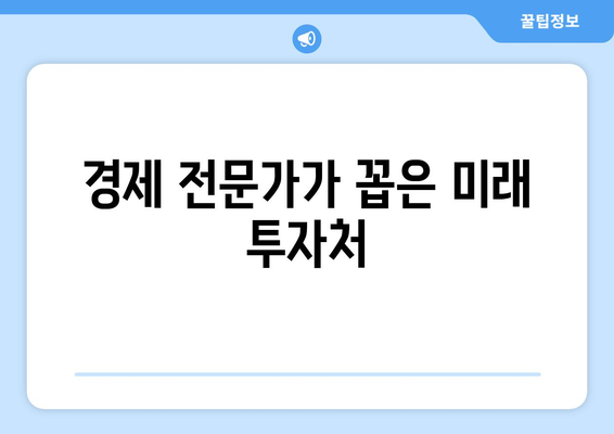 경제학자가 말하는 미래 투자 유망 산업